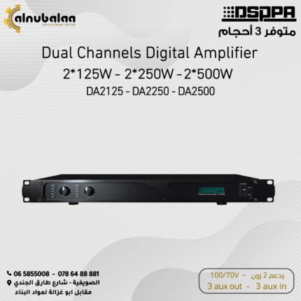 Dual Channels Digital Amplifier DSPPA